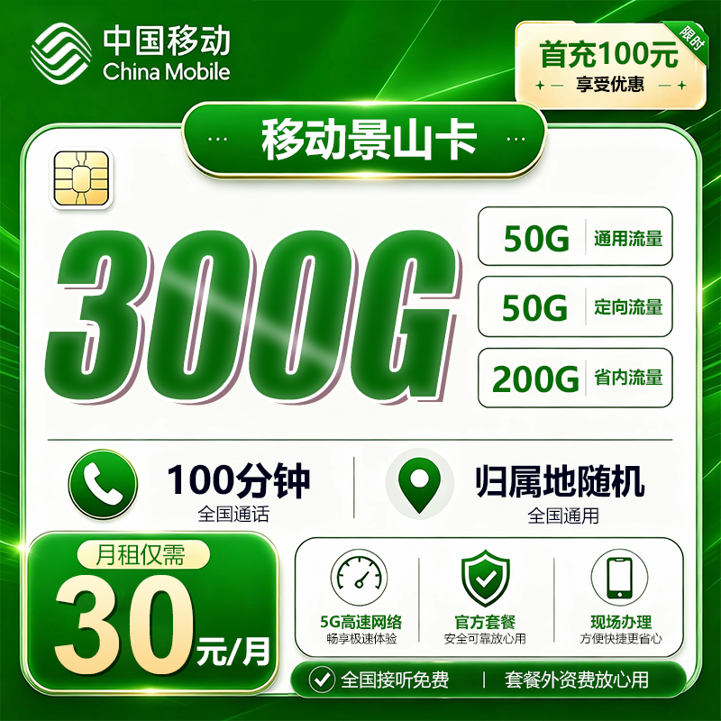 山东移动【30元300G+100分钟】