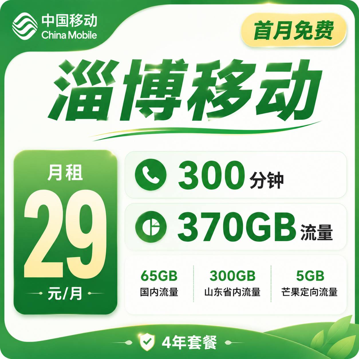 移动淄博【29元370G＋300分钟】
